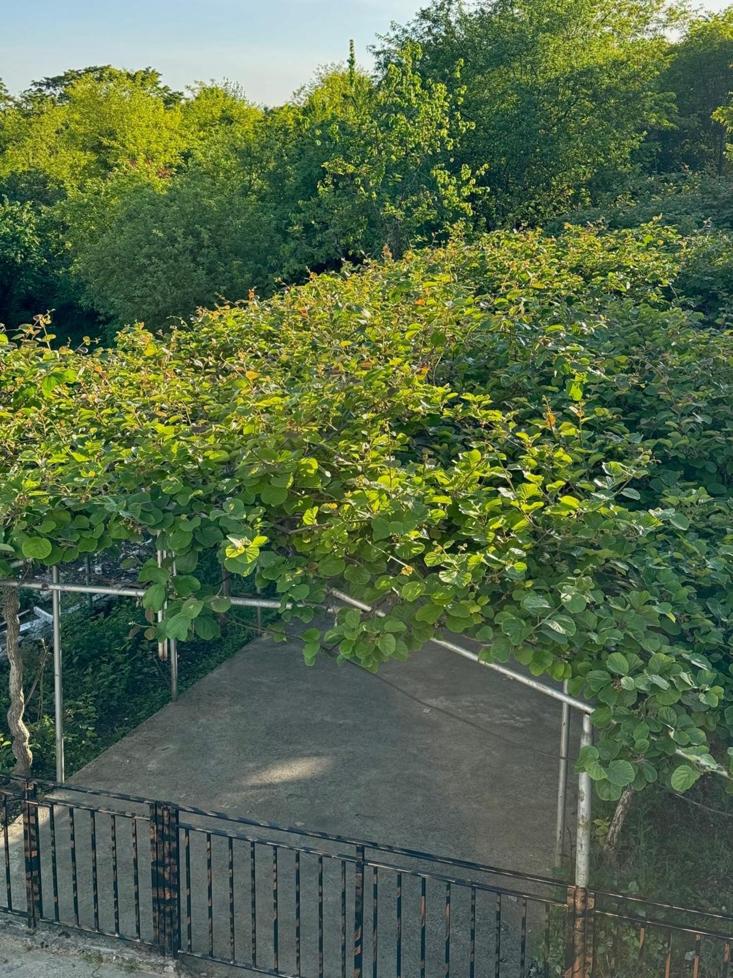 Hotel Okatsia Სასტუმრო Ოკაცია Gordi Exteriér fotografie